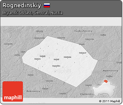 Gray 3D Map of Rognedinskiy