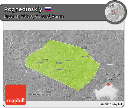 Physical 3D Map of Rognedinskiy, desaturated