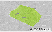 Physical 3D Map of Rognedinskiy, lighten, desaturated