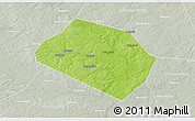 Physical 3D Map of Rognedinskiy, lighten, semi-desaturated