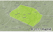 Physical 3D Map of Rognedinskiy, semi-desaturated