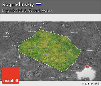 Satellite 3D Map of Rognedinskiy, desaturated