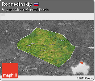 Satellite 3D Map of Rognedinskiy, desaturated