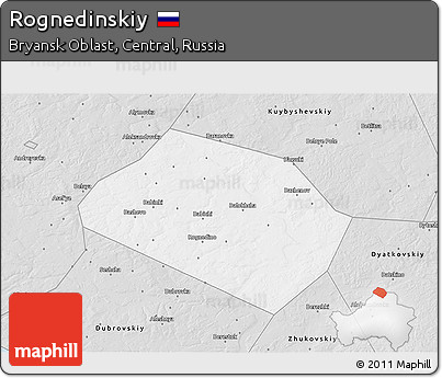 Silver Style 3D Map of Rognedinskiy