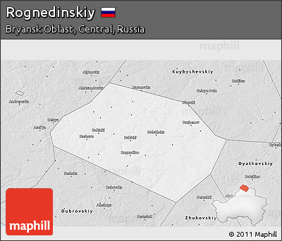 Silver Style 3D Map of Rognedinskiy
