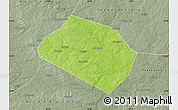 Physical Map of Rognedinskiy, semi-desaturated