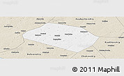 Classic Style Panoramic Map of Rognedinskiy