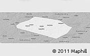 Gray Panoramic Map of Rognedinskiy