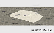 Shaded Relief Panoramic Map of Rognedinskiy, darken