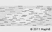Silver Style Panoramic Map of Kaluga Oblast