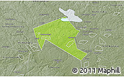 Physical 3D Map of Mytischinskiy, semi-desaturated