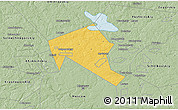 Savanna Style 3D Map of Mytischinskiy