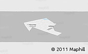 Gray Panoramic Map of Mytischinskiy, single color outside