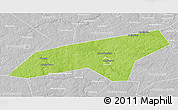 Physical 3D Map of Naro-Fominskiy, lighten, desaturated