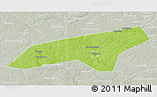 Physical 3D Map of Naro-Fominskiy, lighten, semi-desaturated