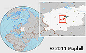 Gray Location Map of Naro-Fominskiy, highlighted grandparent region