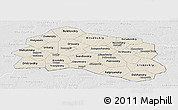Shaded Relief Panoramic Map of Oryol Oblast, lighten, desaturated