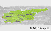 Physical Panoramic Map of Central, lighten, desaturated