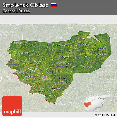 Satellite 3D Map of Smolensk Oblast, lighten