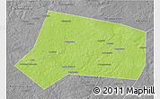 Physical 3D Map of Yelninskiy, desaturated