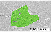Political 3D Map of Aleksinskiy, lighten, desaturated