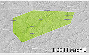 Physical 3D Map of Arsenyevskiy, lighten, desaturated