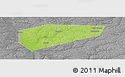 Physical Panoramic Map of Arsenyevskiy, desaturated