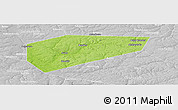 Physical Panoramic Map of Arsenyevskiy, lighten, desaturated