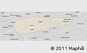 Shaded Relief Panoramic Map of Arsenyevskiy, desaturated