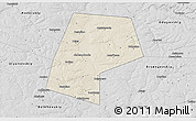 Shaded Relief 3D Map of Belyevskiy, desaturated