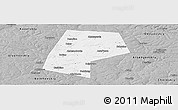 Gray Panoramic Map of Belyevskiy