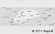 Silver Style Panoramic Map of Belyevskiy