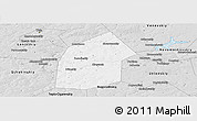 Silver Style Panoramic Map of Kireyevskiy