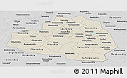 Shaded Relief Panoramic Map of Tula Oblast, desaturated