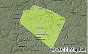 Physical 3D Map of Plavskiy, darken, semi-desaturated