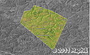 Satellite 3D Map of Plavskiy, desaturated