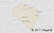 Shaded Relief 3D Map of Plavskiy, lighten, desaturated