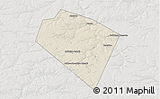 Shaded Relief 3D Map of Plavskiy, lighten, semi-desaturated