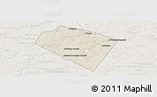 Shaded Relief Panoramic Map of Plavskiy, lighten