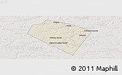 Shaded Relief Panoramic Map of Plavskiy, lighten, semi-desaturated