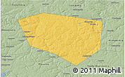 Savanna Style 3D Map of Schekinskiy
