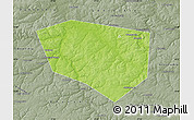 Physical Map of Schekinskiy, semi-desaturated