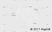 Silver Style Map of Schekinskiy, single color outside