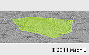 Physical Panoramic Map of Schekinskiy, desaturated