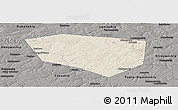 Shaded Relief Panoramic Map of Schekinskiy, darken, semi-desaturated