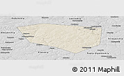 Shaded Relief Panoramic Map of Schekinskiy, desaturated