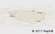 Shaded Relief Panoramic Map of Schekinskiy, lighten