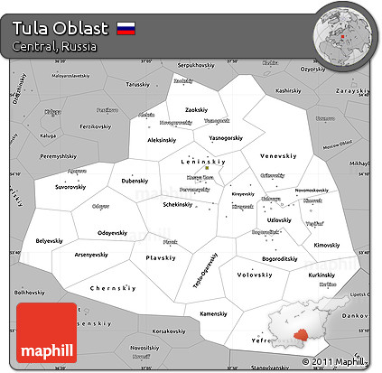 Gray Simple Map of Tula Oblast