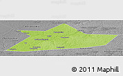 Physical Panoramic Map of Belskiy, desaturated
