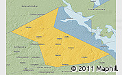 Savanna Style 3D Map of Vesyegonskiy